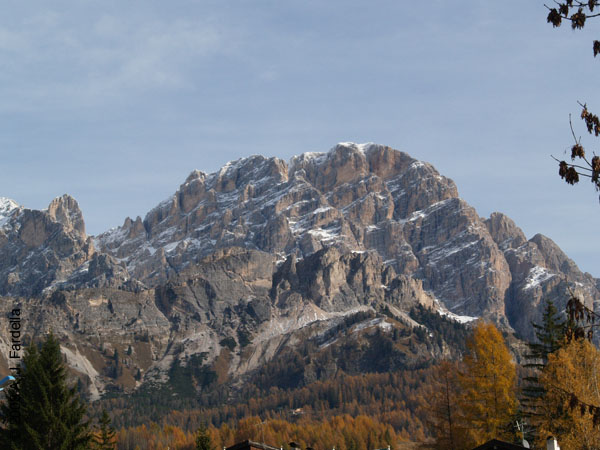 PB027677