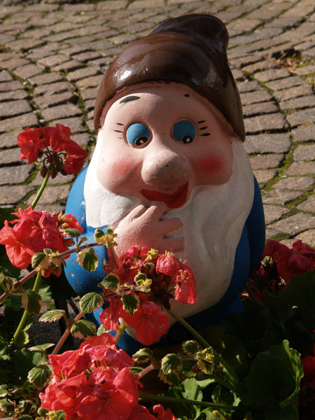 PB027815