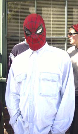 spideyinline